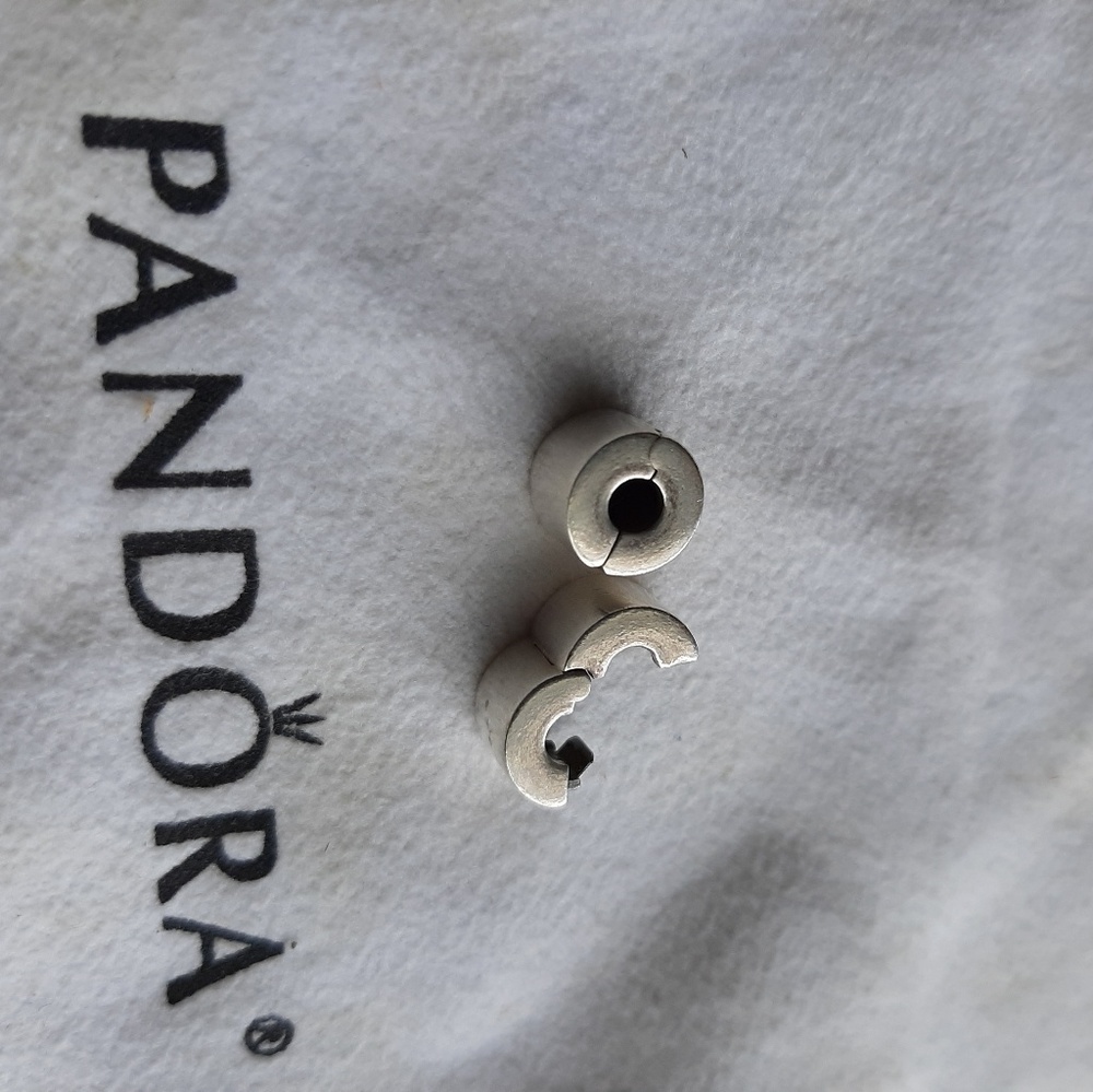 Pandora Charm